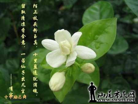 2008050110181449.jpg