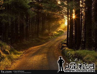 t01a993ea39cef4f070.jpg