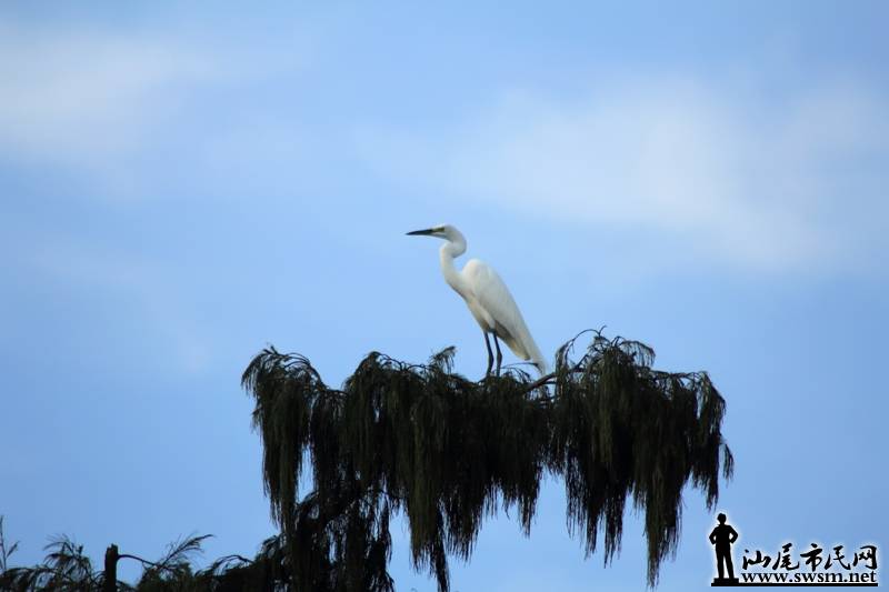 IMG_7708.JPG