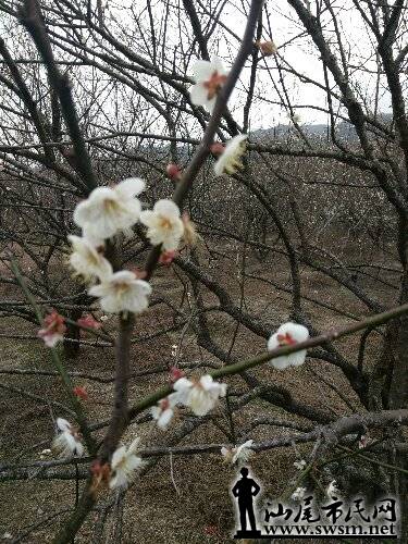 IMG_20160118_155449.jpg