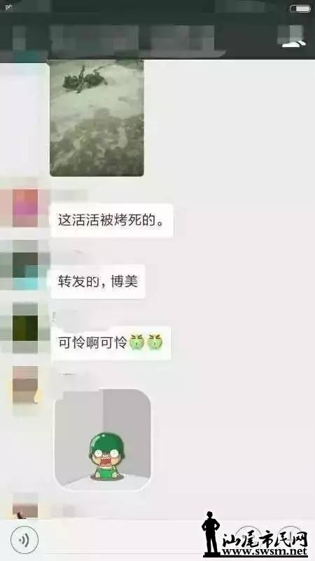 汕尾外流人口_汕尾地图(3)