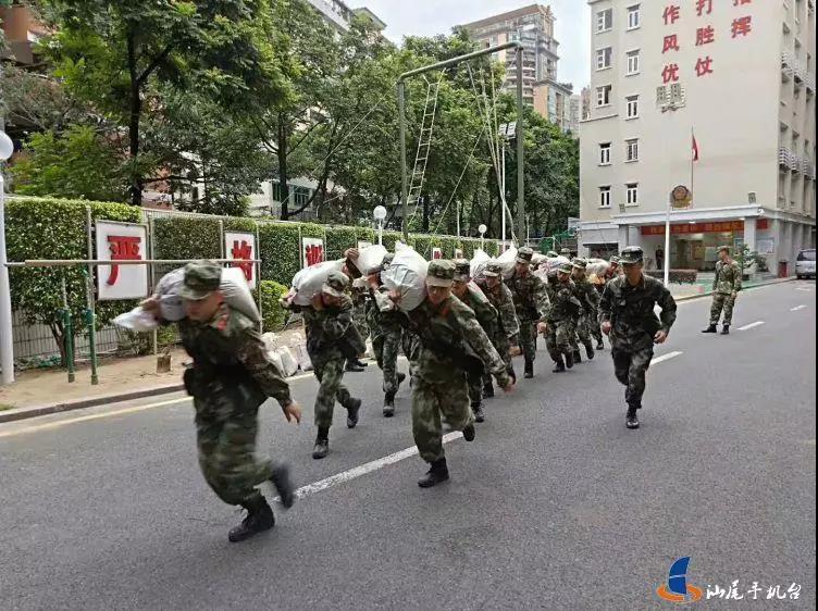 汕尾乡镇人口_汕尾市民网 11 5四镇踏秋游 2011 11 5早上不离按公告约好的时间(2)