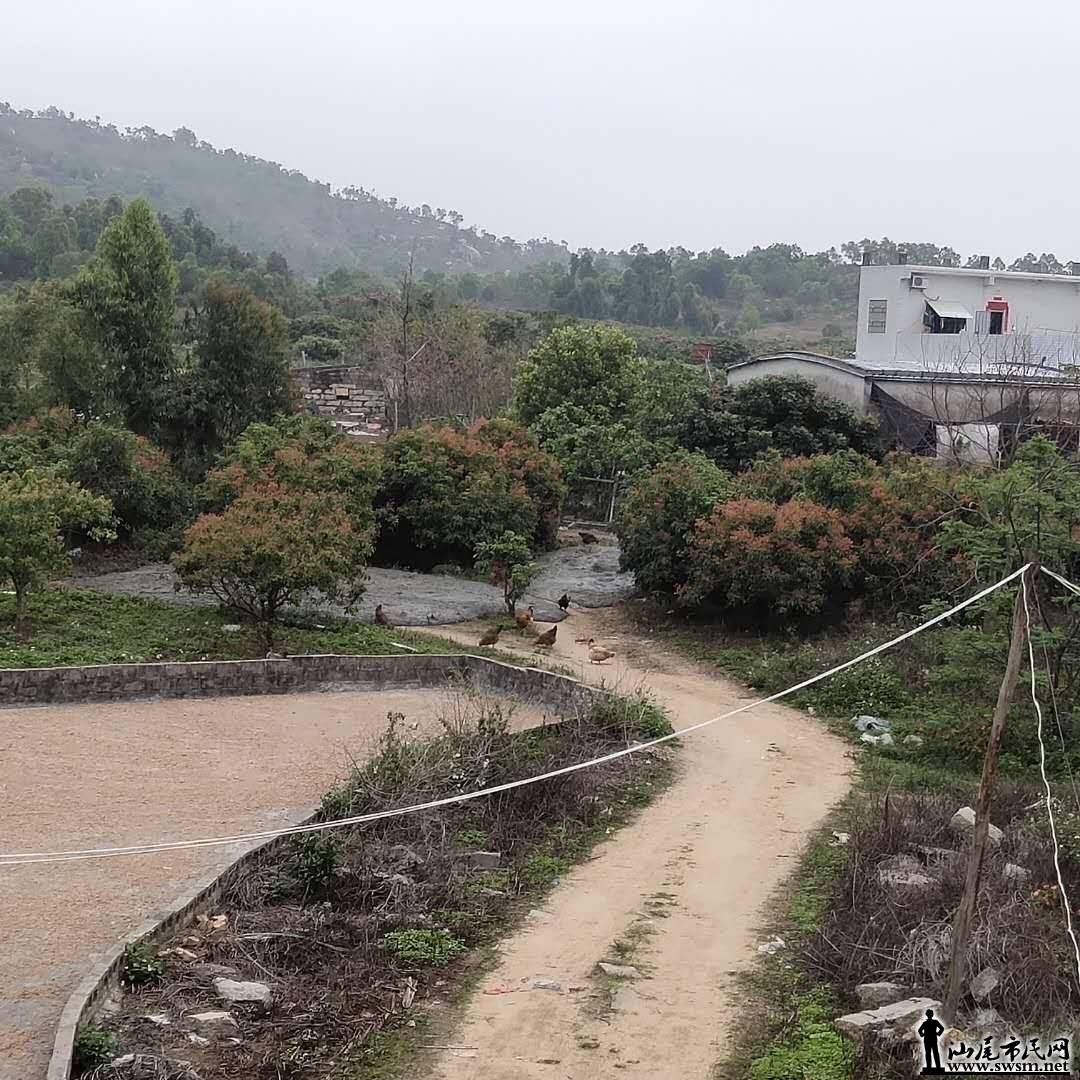 陆丰第一大人口村水墘村