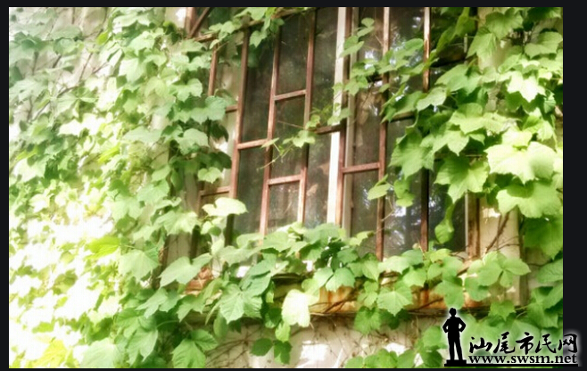 ɽ4.png