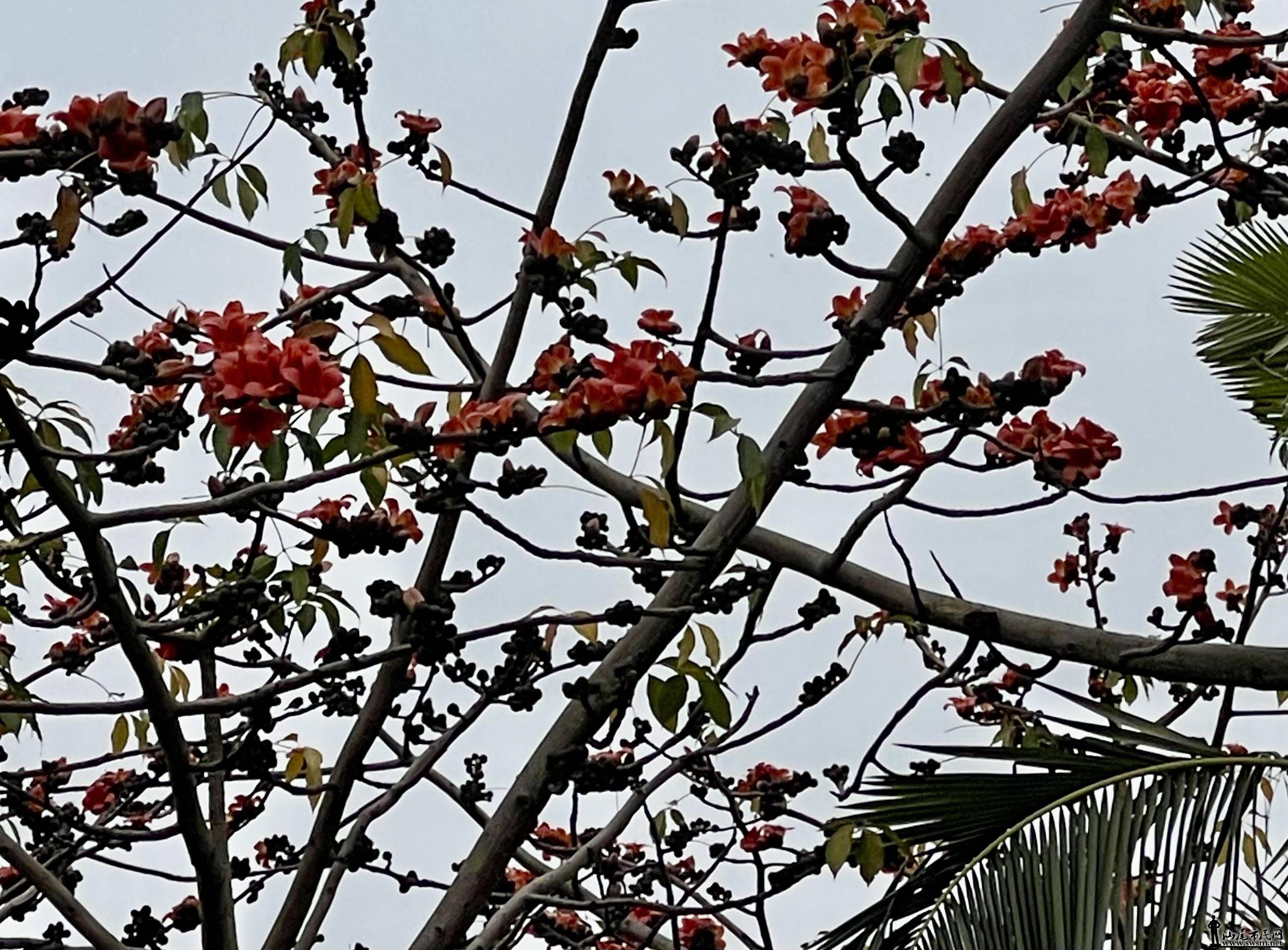 IMG_7765.jpeg
