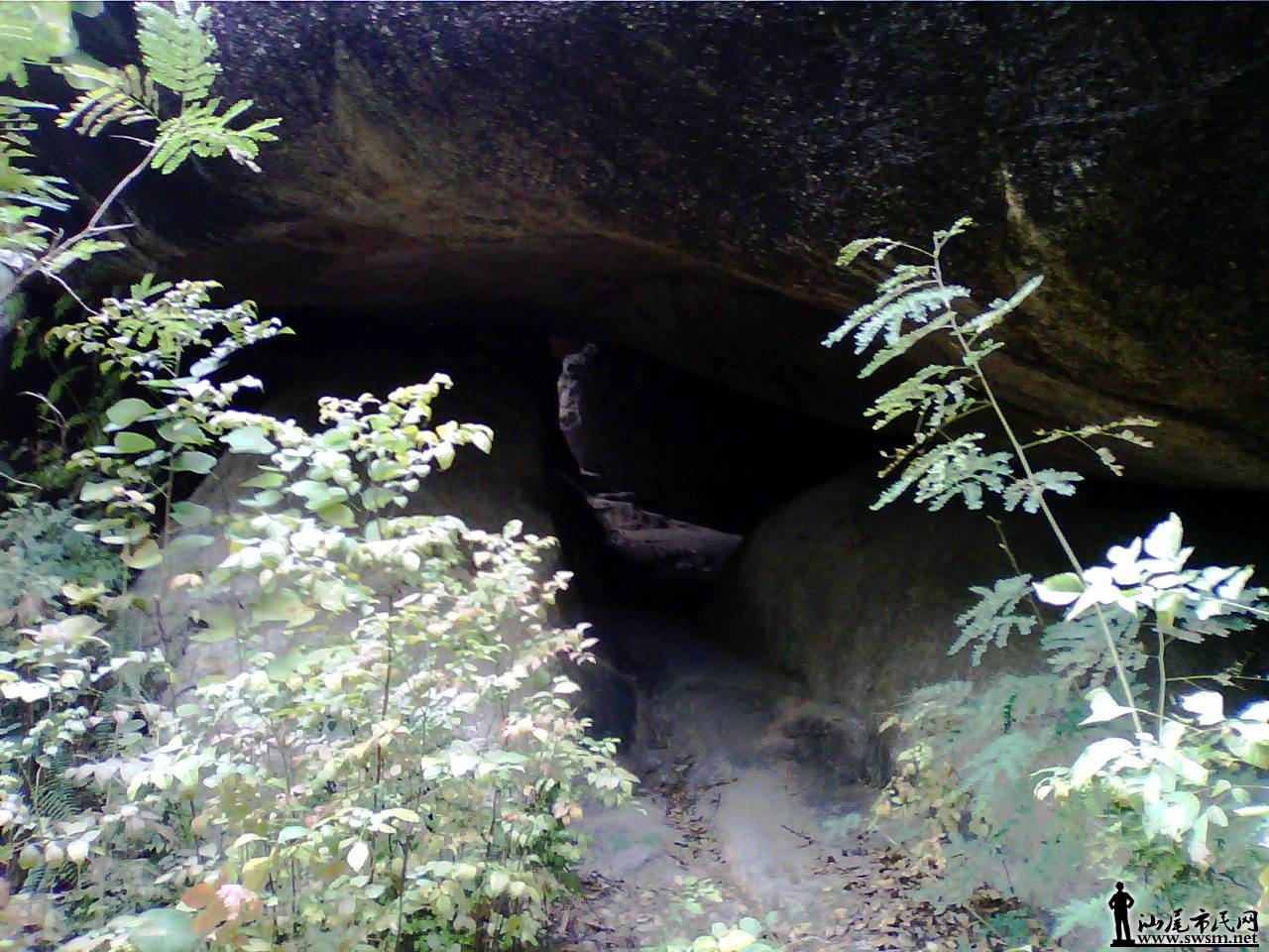 20110128_1507_1.jpg