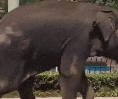 05116c1572694dbf8e4b24d59f56da69.gif