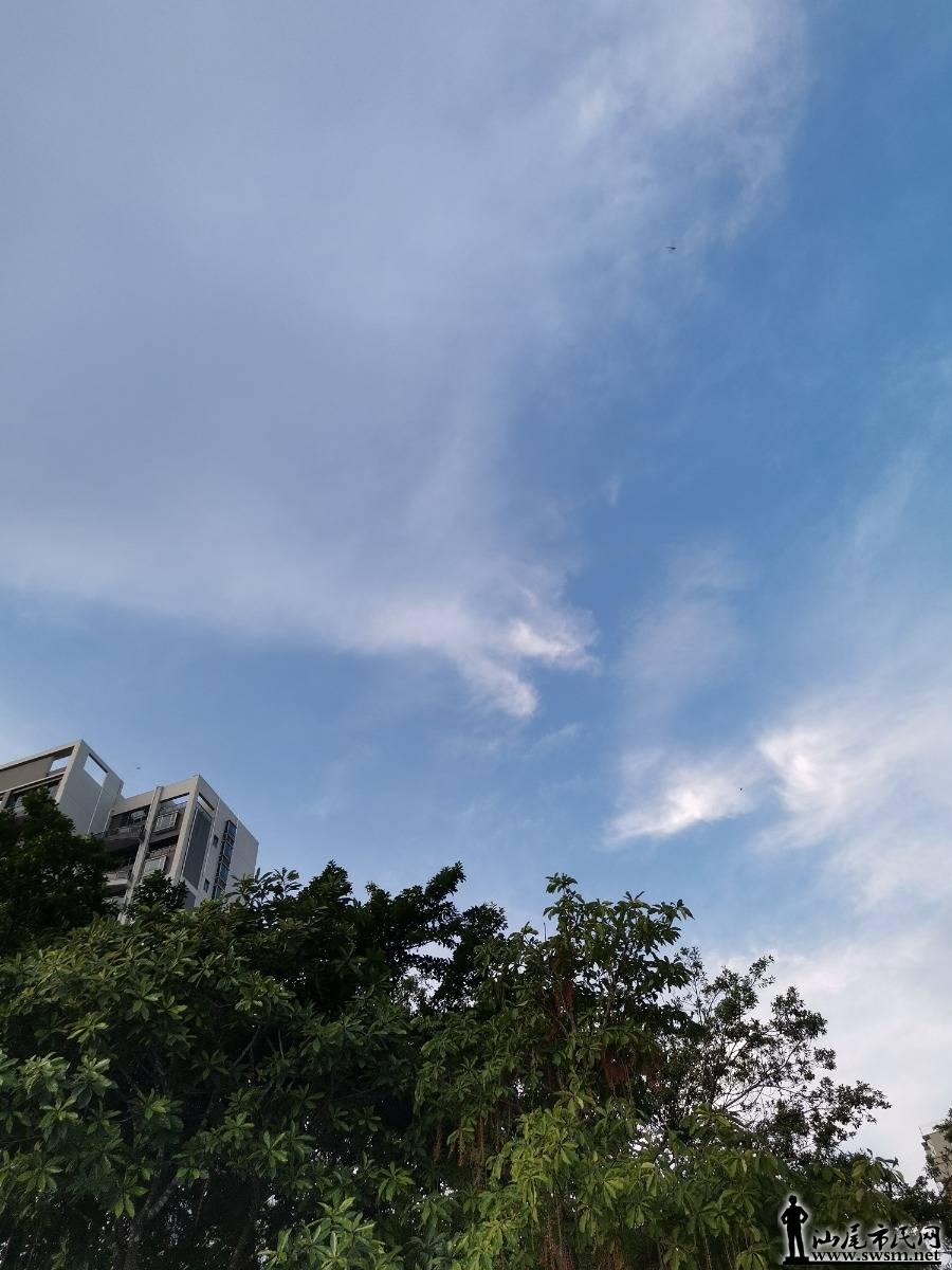 IMG_20250723_184209.jpg