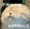 ���籭����������ҲҪ�غá�������