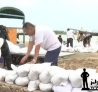 ½�᣺ȫ��λ�Ų�������� ���η�Ѵ��̨�簲ȫ����