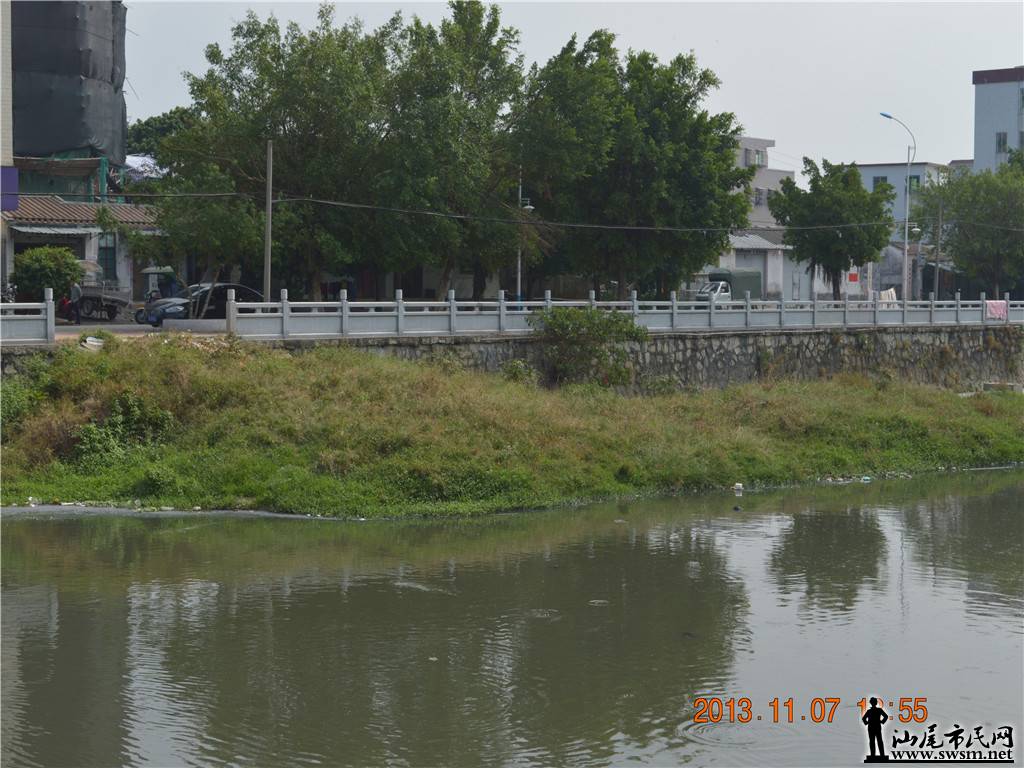 DSC_0187_����.jpg