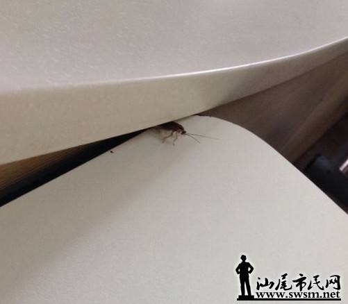 QQ��ͼ20131231110352.jpg