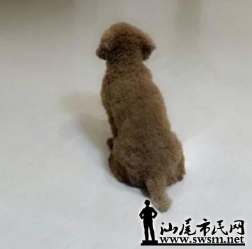 QQͼƬ20140424121028.jpg