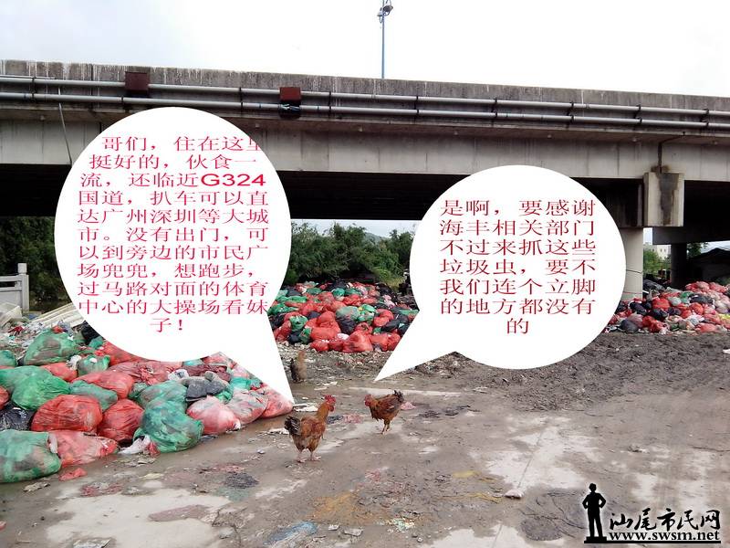 ����Ϫ�ذ������ŵ�����վ037.jpg