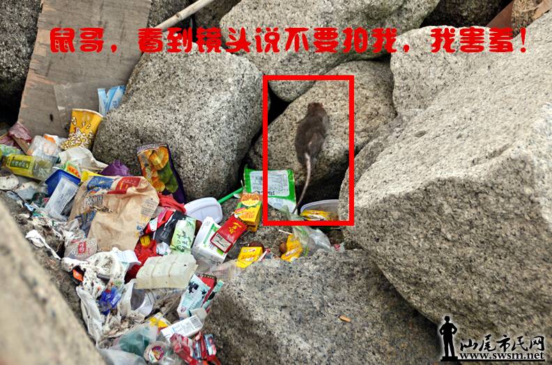 QQ��ͼ20140805013106.jpg