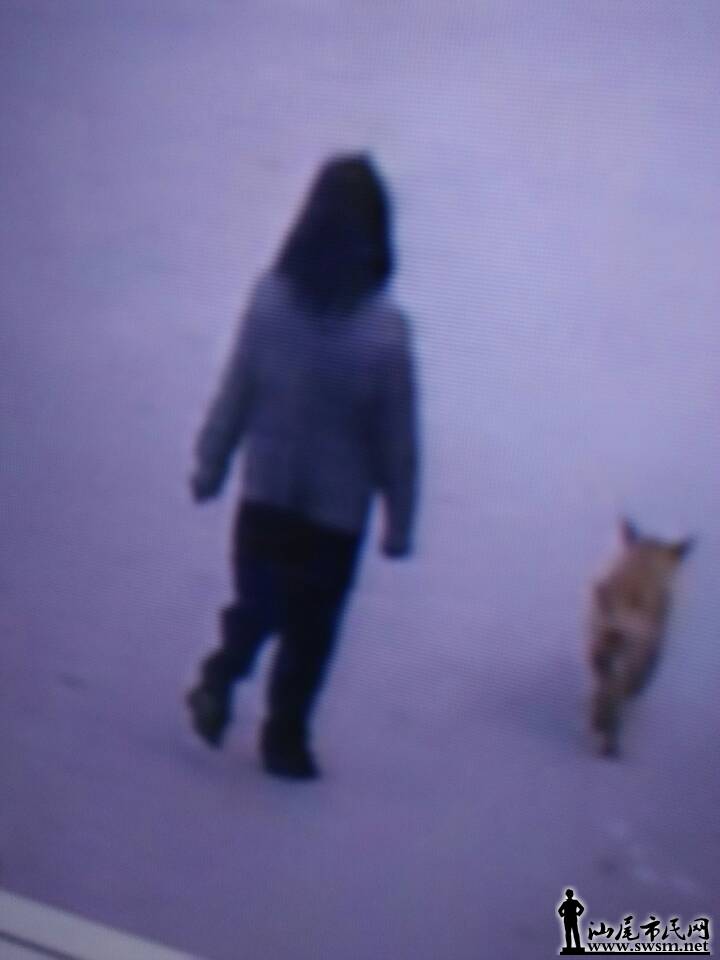 ��ʧʱ�ļ�ػ���