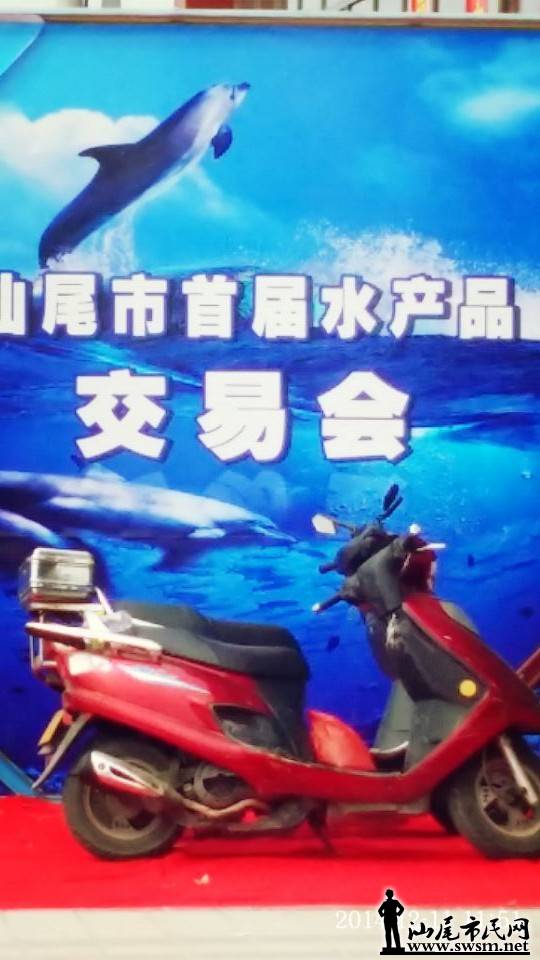 8 - ����.jpg