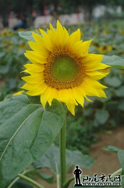 ������С ����2.jpg