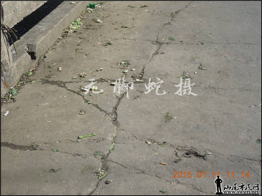 DSCN6980.JPG
