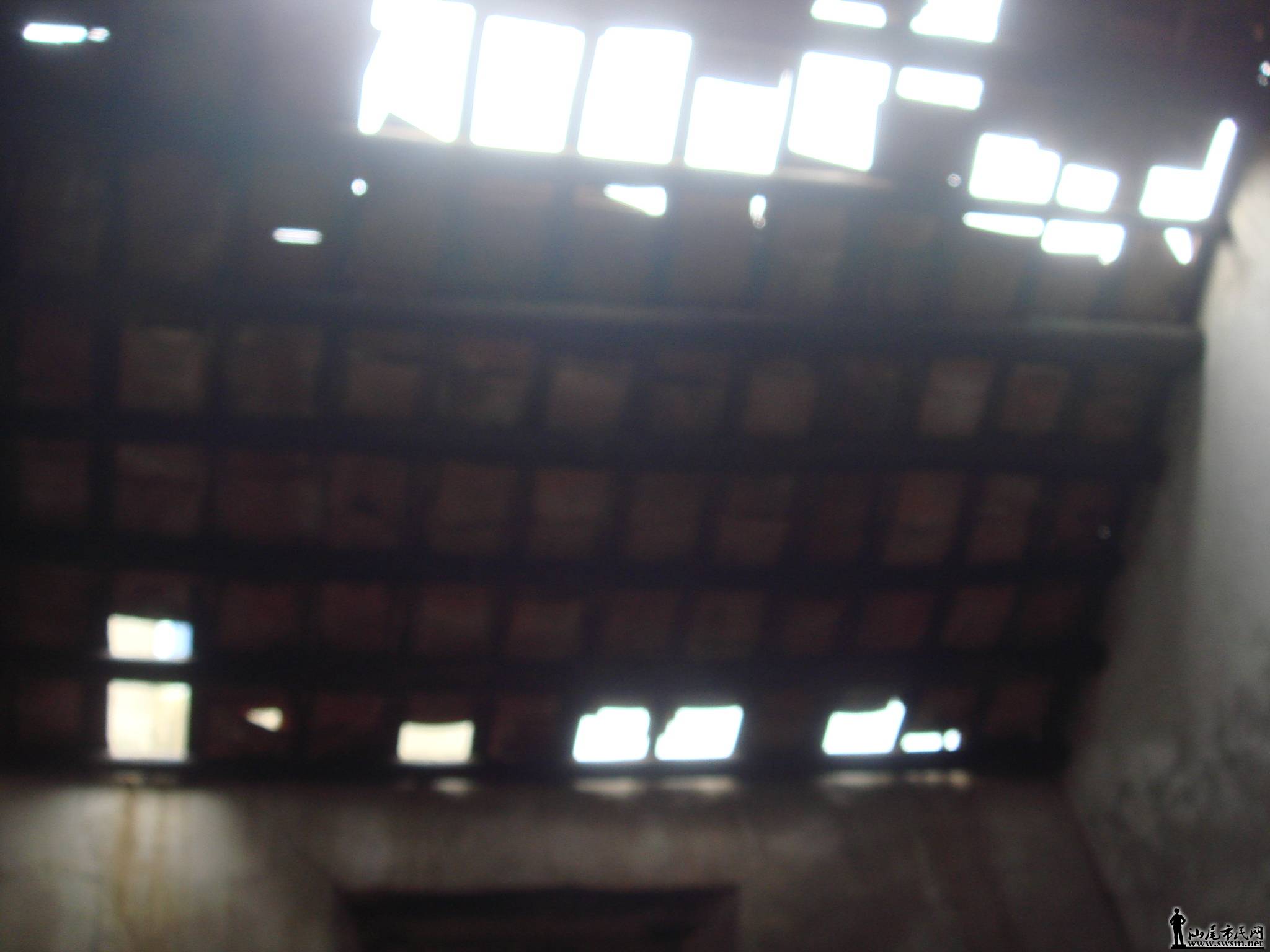 DSC01206.JPG