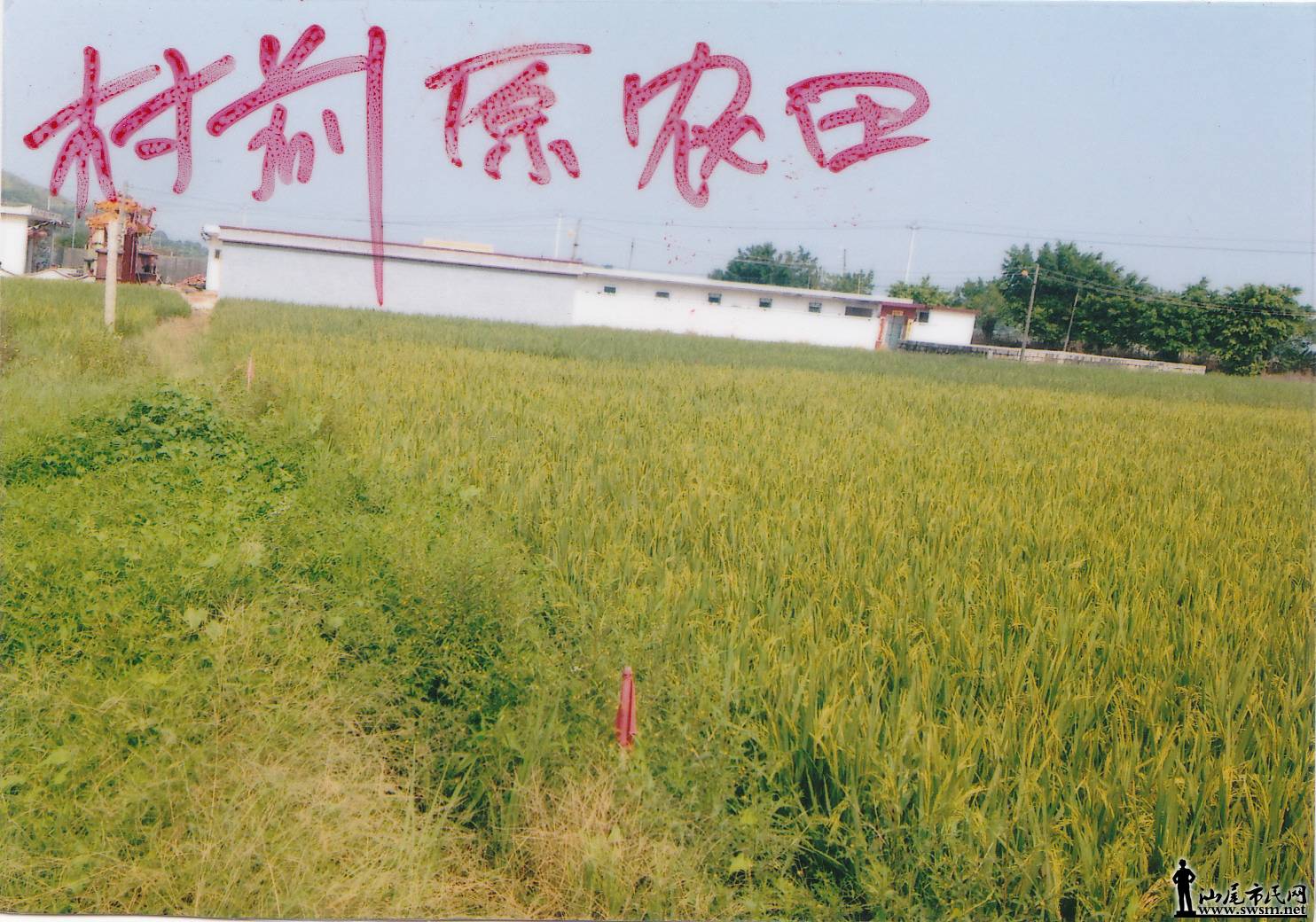 IMG.jpg