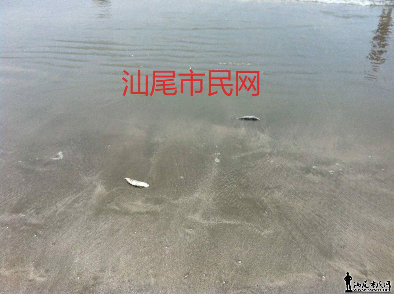 δ����21_meitu_2.jpg