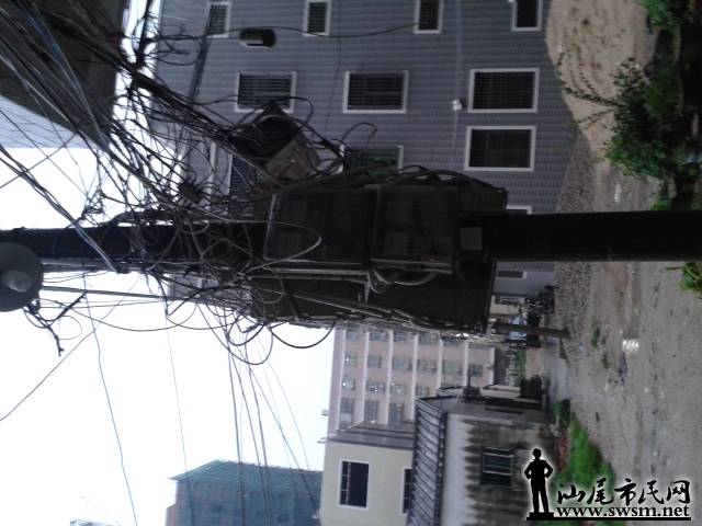 �ҵ���֩����һ���ĵ��ߡ�
