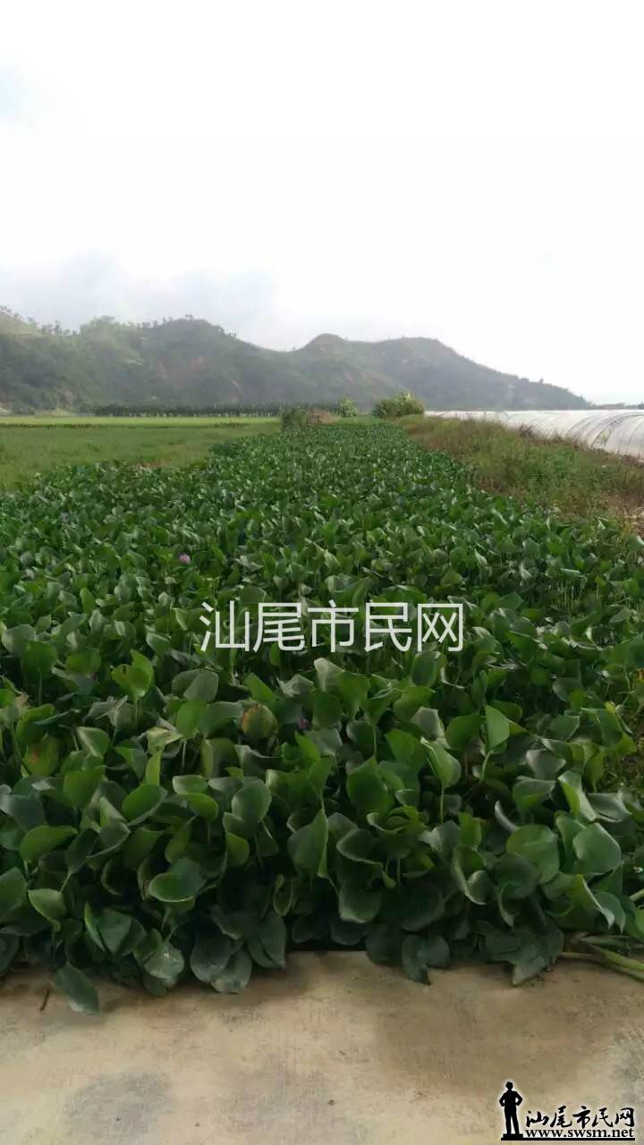 δ����20_meitu_3.jpg