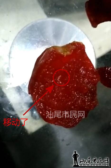 QQ��ͼ20150612095455_meitu_2.jpg