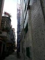 20150331_115042.jpg.JPG