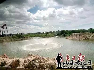 6403.webp.jpg