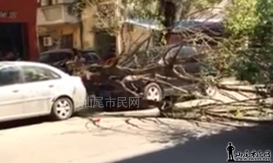 QQ��ͼ20151017142913����.jpg