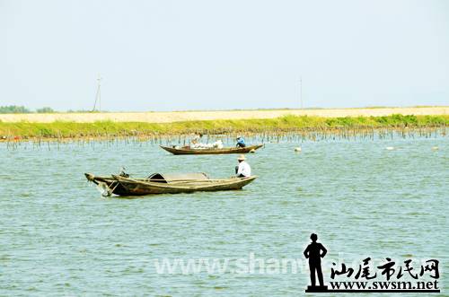 캣õطḻĺԴ չˮֳҵ.jpg