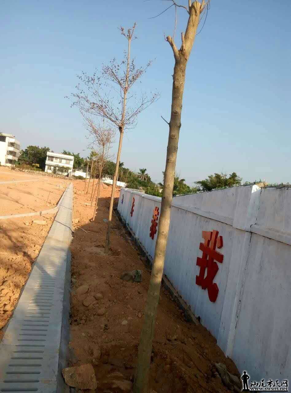 864247683264337807.jpg