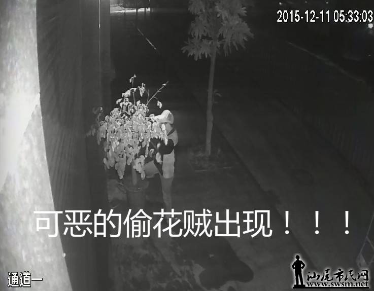 QQ��ͼ20151214132424.png