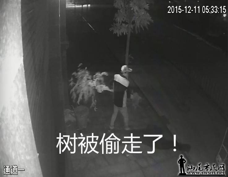 QQ��ͼ20151214132504.jpg