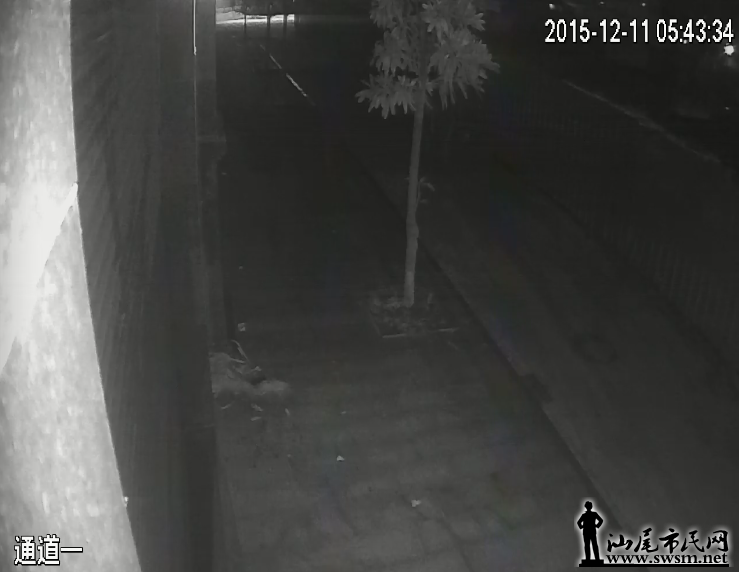 QQ��ͼ20151214133322.png