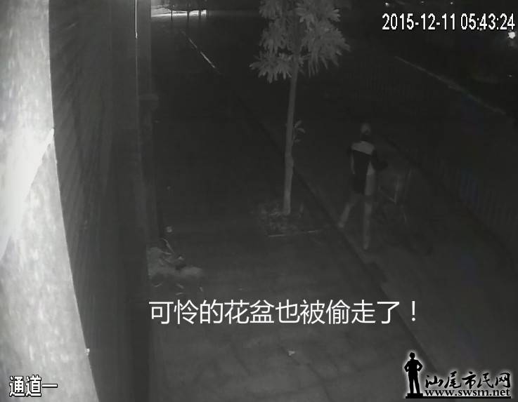 QQ��ͼ20151214133254.png