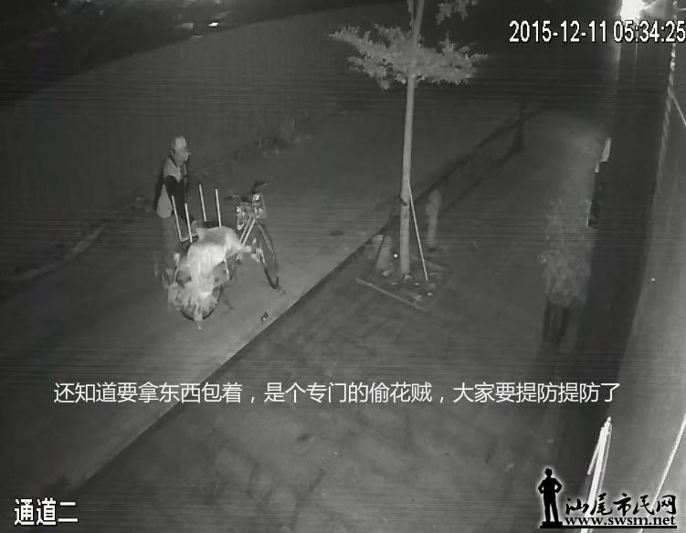 QQ��ͼ20151214133648.png