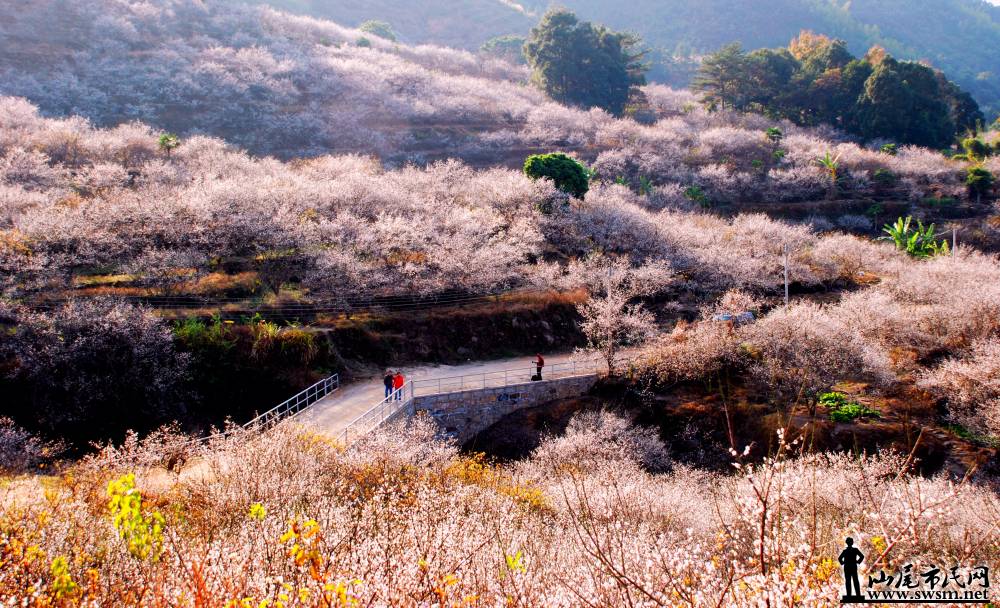 ѹ��÷��ӡ��-1�� ���װ���_�༭.jpg