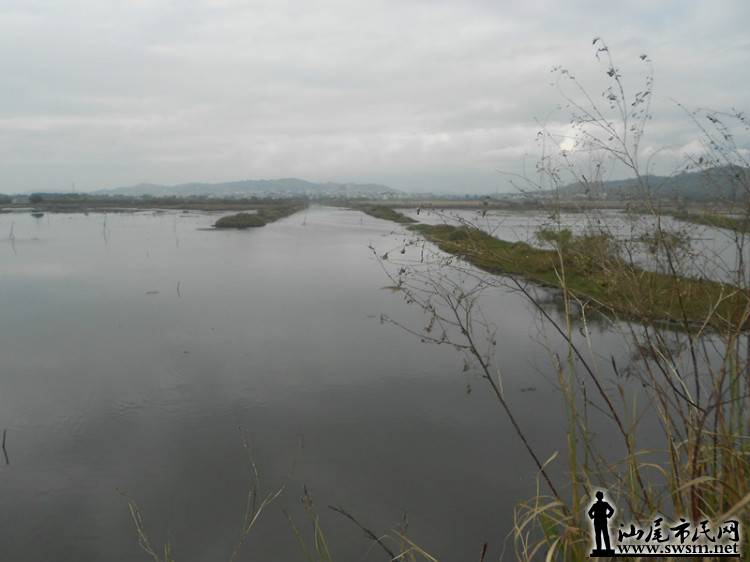 6630785191213360891 (2).jpg