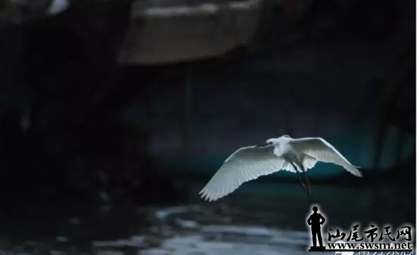 QQ��ͼ20160130103455.png
