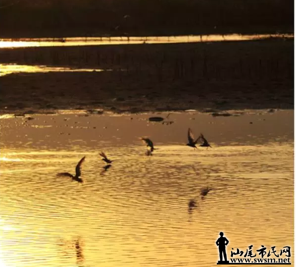 QQ��ͼ20160130103555.png