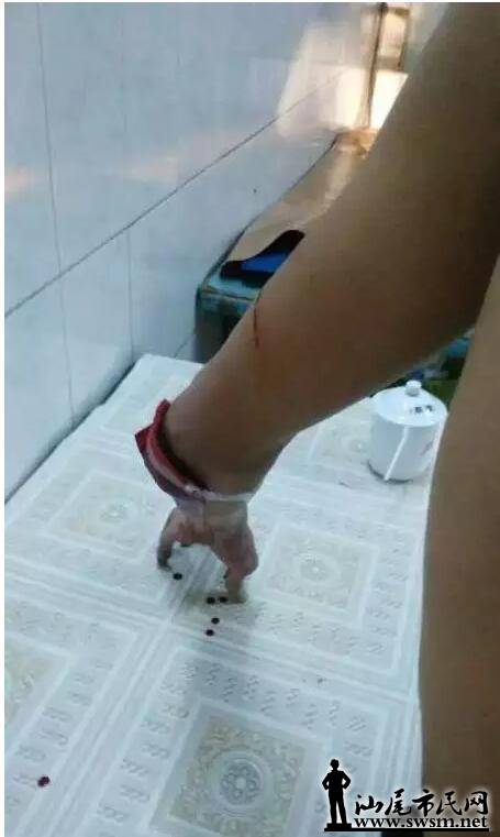 QQ��ͼ20160502141213.jpg