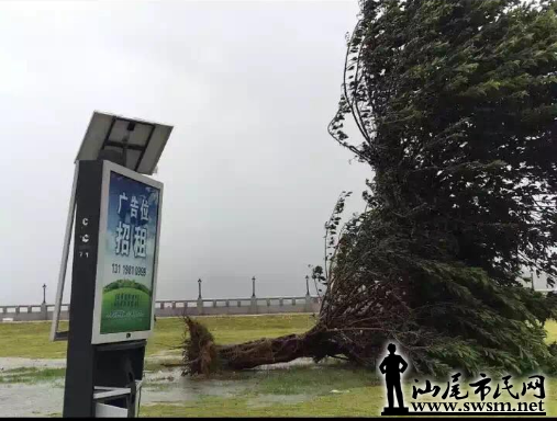 QQ��ͼ20160802110120.png