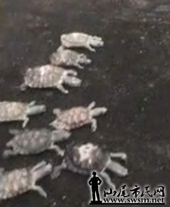 QQ��ͼ20120320073143.png