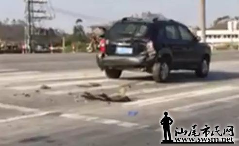 QQ��ͼ20170214125228.png