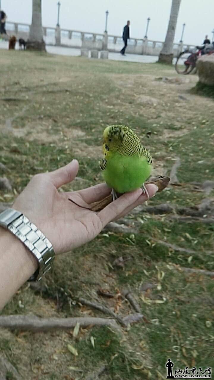QQͼƬ20170322135220.jpg