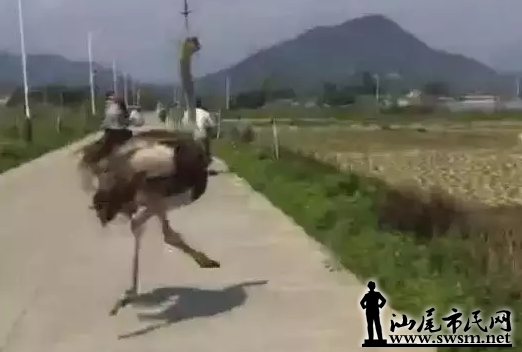 QQ��ͼ20170405095847.png