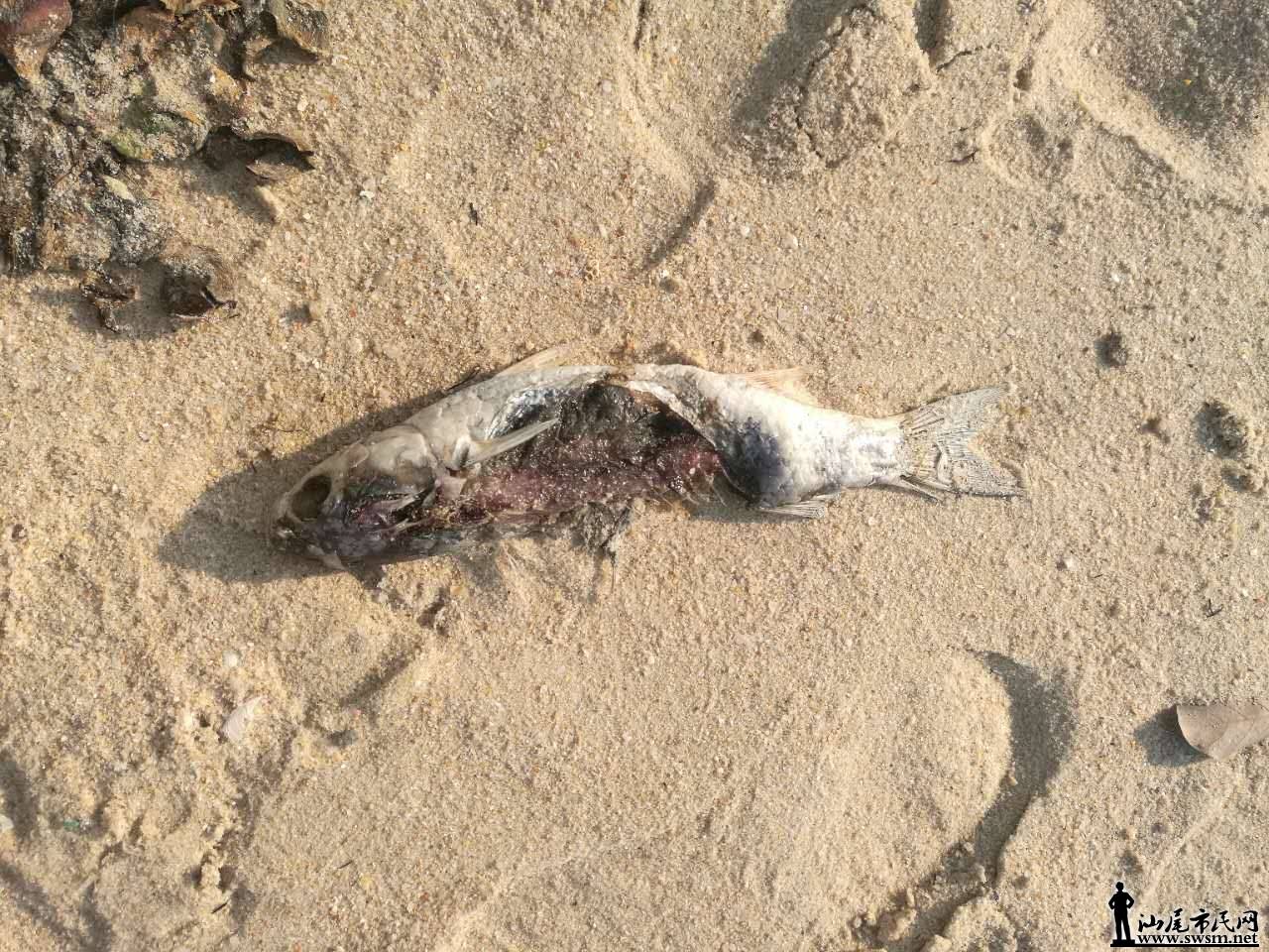 ΢��ͼƬ_20170406113116.jpg